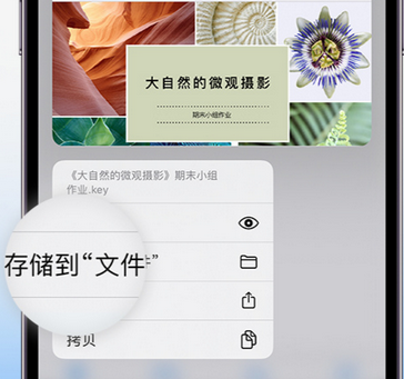 巴青apple维修中心分享iPhone文件应用中存储和找到下载文件