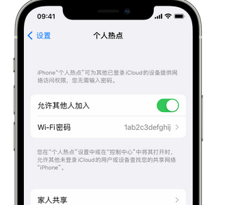 巴青apple服务站点分享iPhone上个人热点丢失了怎么办 