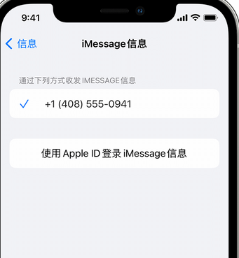 巴青apple维修iPhone上无法正常发送iMessage信息