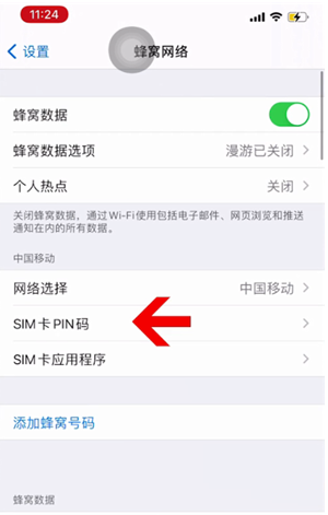 巴青苹果14维修网分享如何给iPhone14的SIM卡设置密码 