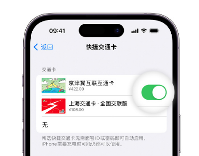 巴青apple维修点分享iPhone上更换Apple Pay快捷交通卡手绘卡面 