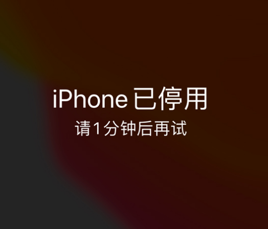 巴青苹果手机维修分享:iPhone 显示“不可用”或“已停用”怎么办？还能保留数据吗？ 