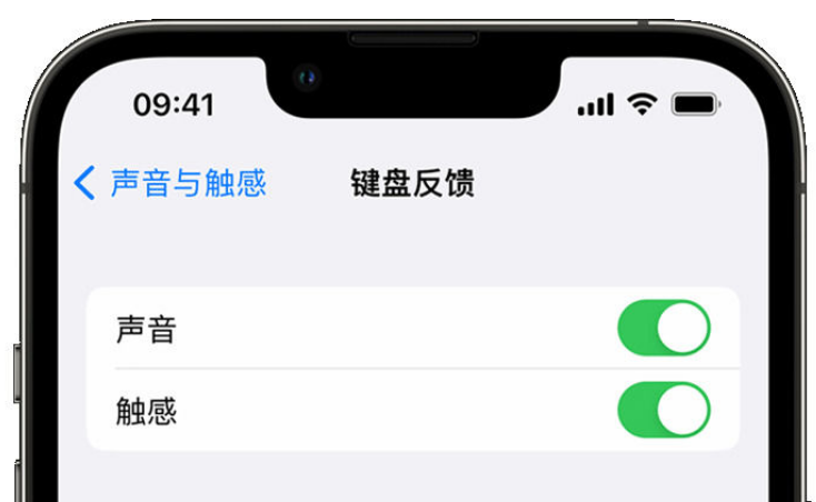 巴青苹果手机维修分享iPhone 14触感键盘使用方法 