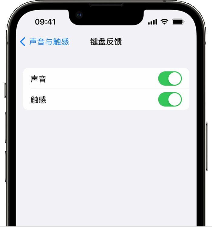 巴青苹果14维修店分享如何在 iPhone 14 机型中使用触感键盘 