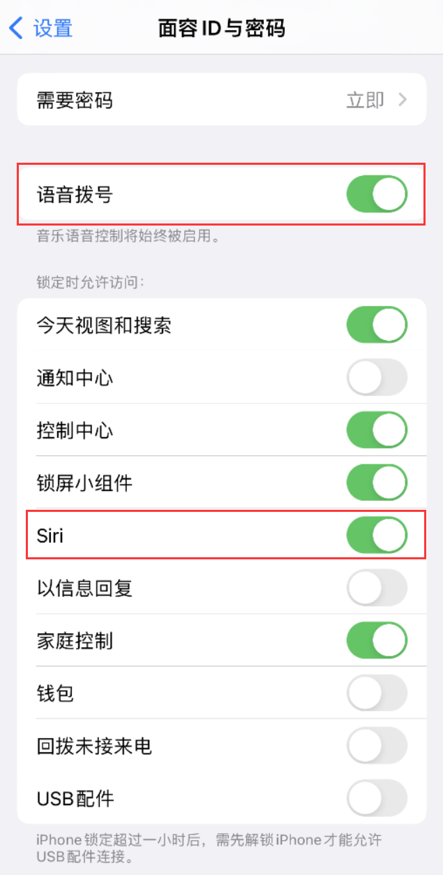 巴青苹果维修网点分享不解锁 iPhone 的情况下通过 Siri 拨打电话的方法 