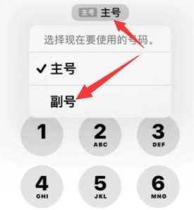 巴青苹果14维修店分享iPhone 14 Pro Max使用副卡打电话的方法 