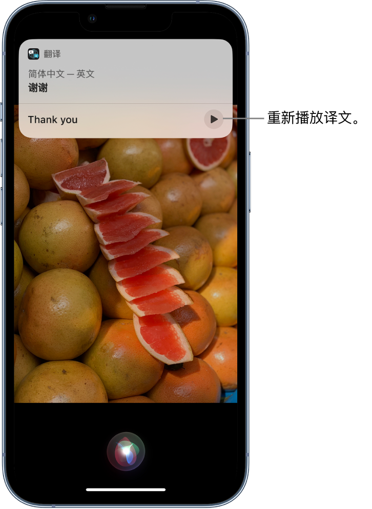 巴青苹果14维修分享 iPhone 14 机型中使用 Siri：了解 Siri 能帮你做什么 