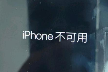 巴青苹果服务网点分享锁屏界面显示“iPhone 不可用”如何解决 