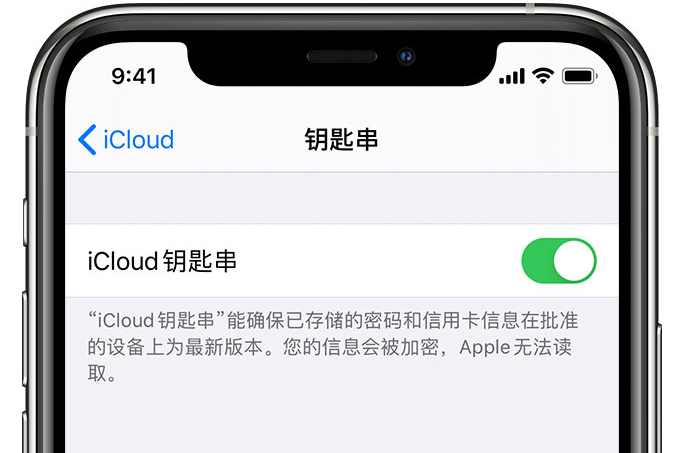 巴青苹果手机维修分享在 iPhone 上开启 iCloud 钥匙串之后会储存哪些信息 