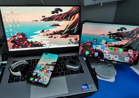 巴青苹果手机维修分享为什么iPad屏幕更大价格却比iPhone低 