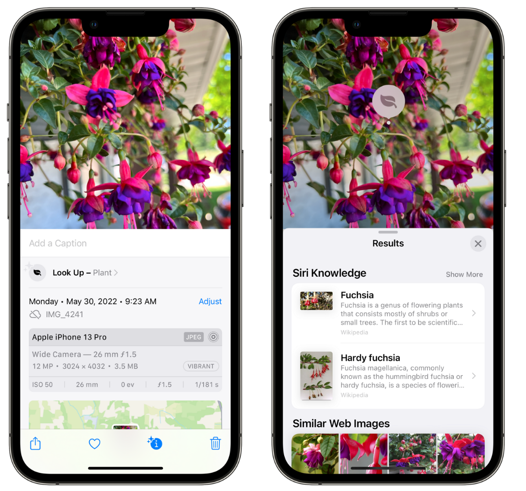 巴青苹果手机维修分享小技巧：使用 iPhone 相机识别花卉植物 