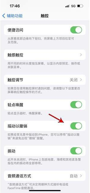 巴青苹果手机维修分享iPhone手机如何设置摇一摇删除文字 