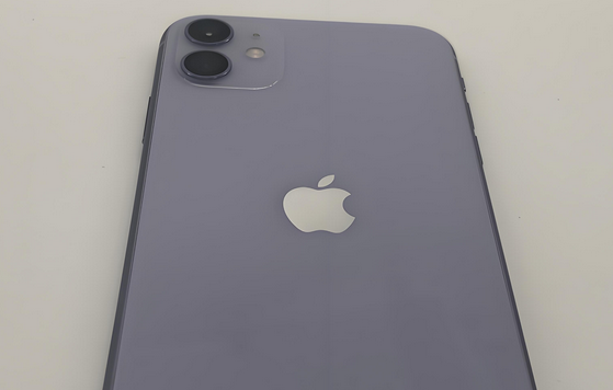 巴青苹果11系统维修分享iPhone11手机系统崩溃无法开机如何解决 