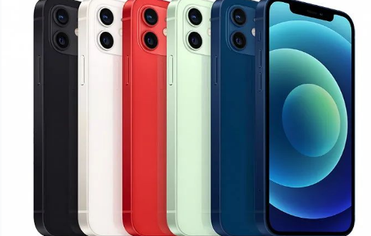 巴青苹果维修点分享iPhone12 Pro Max进水维修 